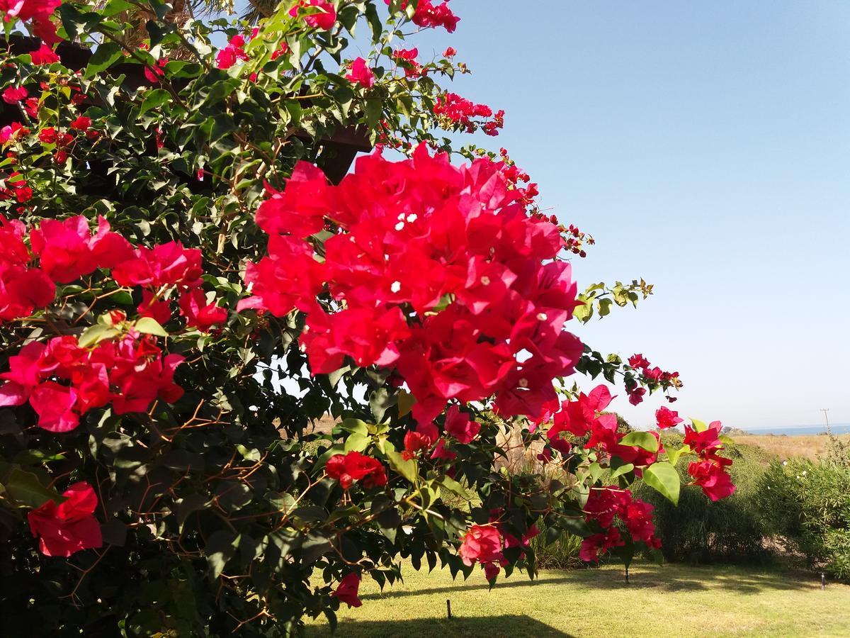 Villa Kos Мастіхарі Екстер'єр фото
